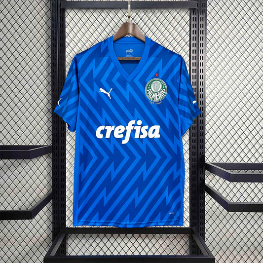 Camisa Palmeiras Goleiro 24/25 - Modelo Torcedor